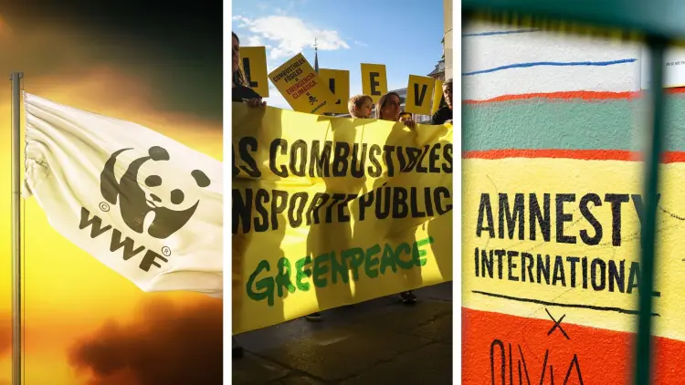 Dreiteilige Bildmontage: Fahne mit Logo des World Wildlife Fund (WWF), Menschen mit Greenpeace Banner, Amnesty International Logo auf einer Hauswand. (Symbolbilder)